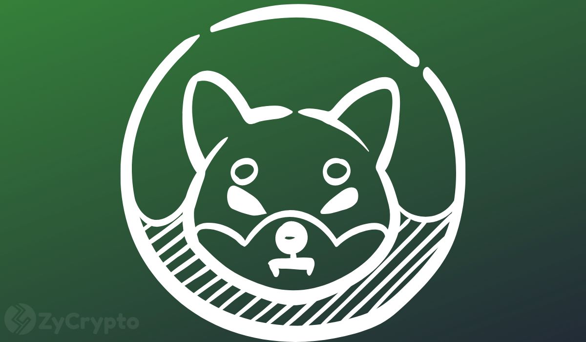 Shiba Inu’s Lead Dev Brags Shibarium’s Success, ‘Almost 800M Transactions, 8 Times Cardano’