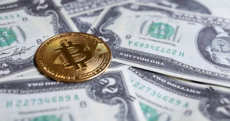 Bitcoin rally faces headwinds from Trump’s diverging crypto trades, say experts