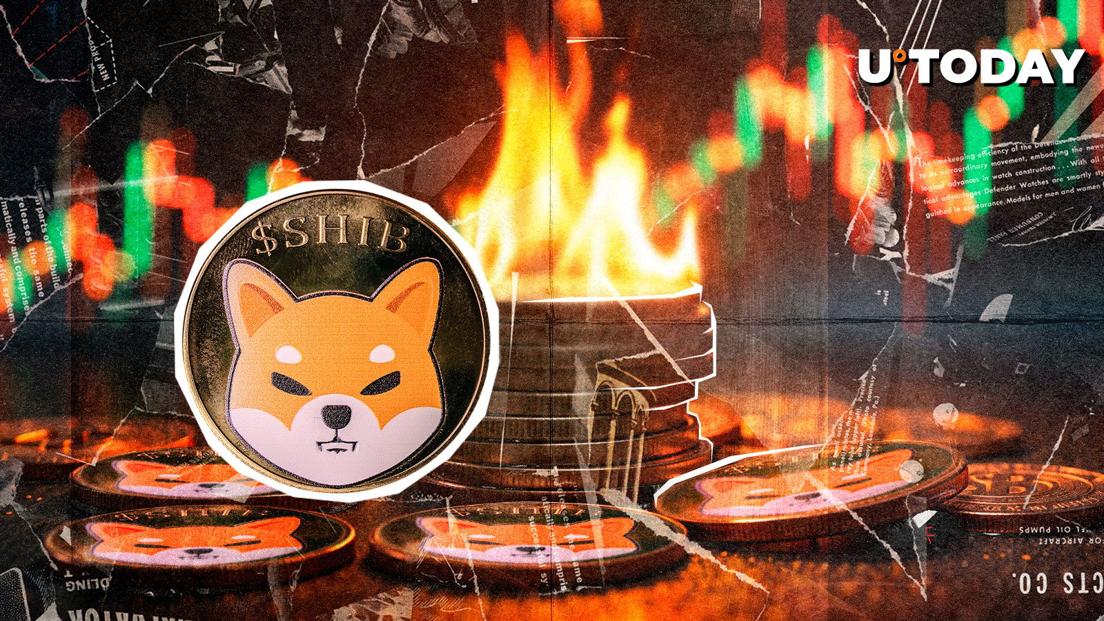 SHIB Burns Skyrocket 104%, Here`s Surprising Twist