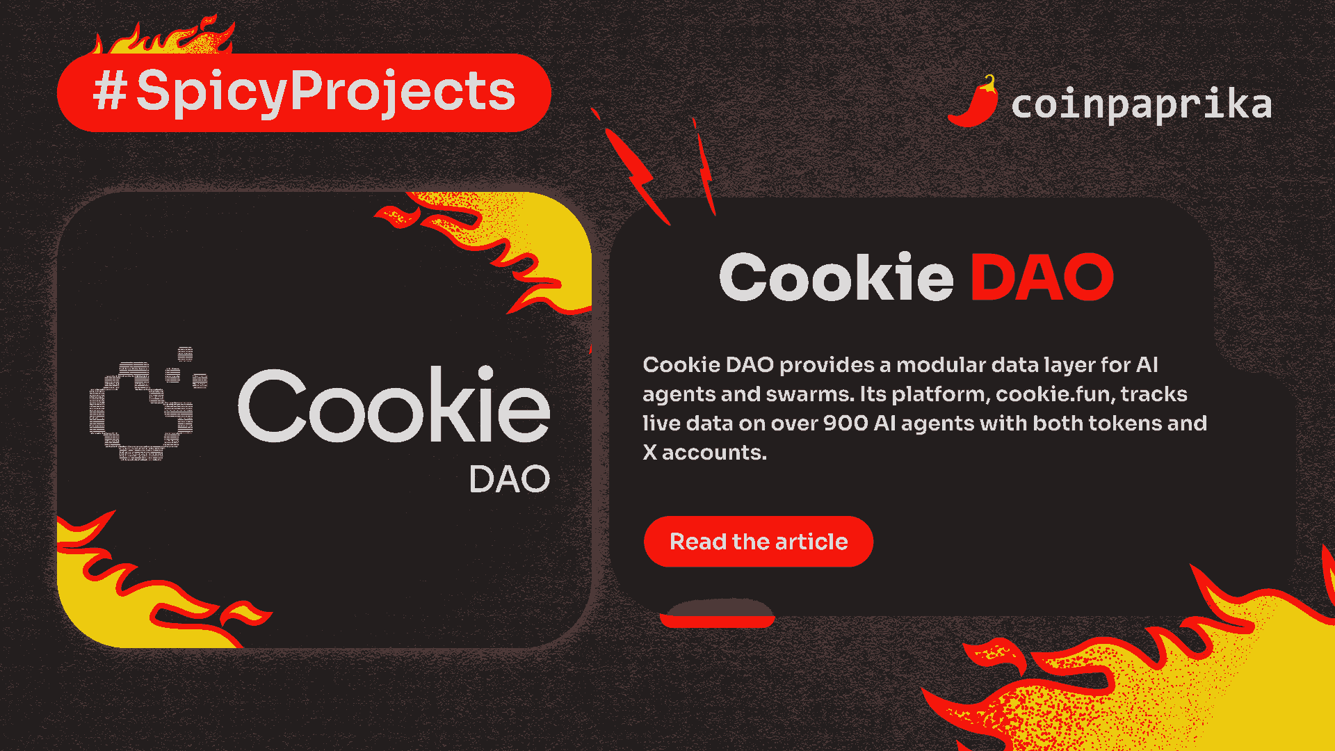 Spicy Projects #7: Cookie DAO