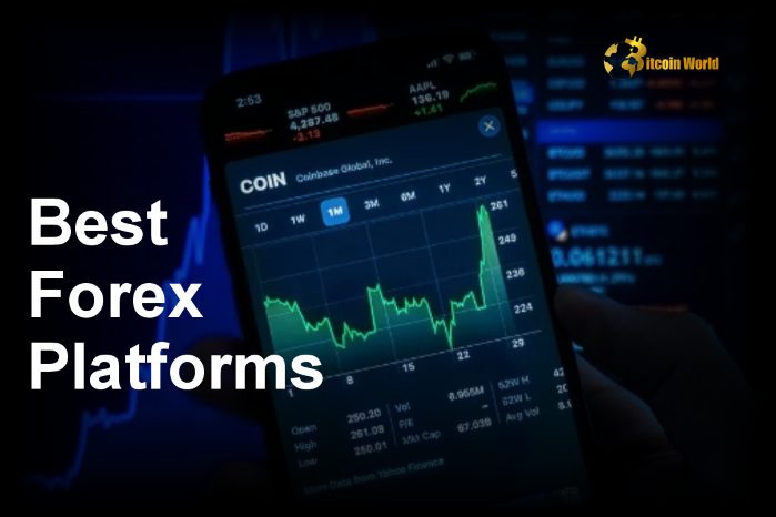 Best Forex Platforms: Top Picks for 2025