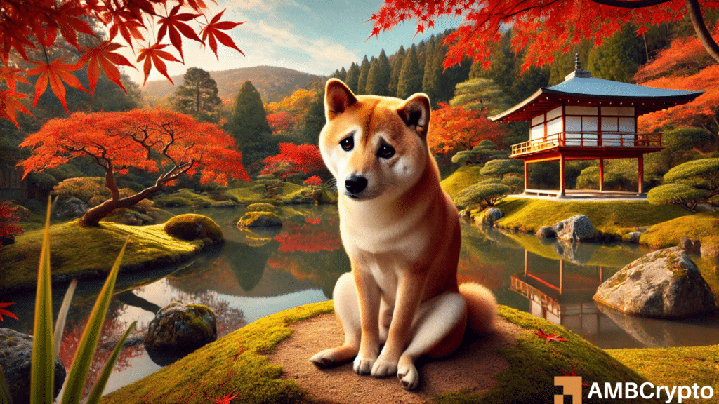 Shiba Inu wavers: As SHIB loses top spot to THIS memecoin, what’s next?