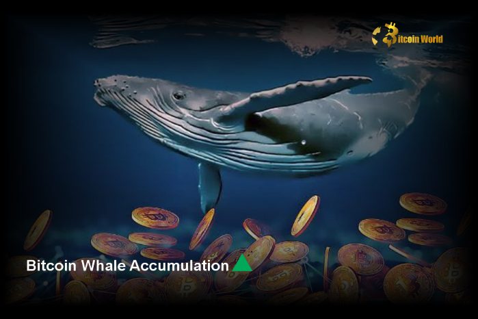 Bitcoin Whale Accumulation Surpasses $2.24B in 72 Hours ????