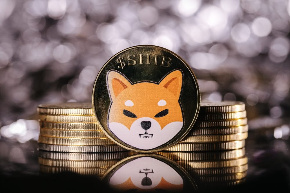 Shiba Inu burn rate surges 600% in a day; What next for SHIB price?