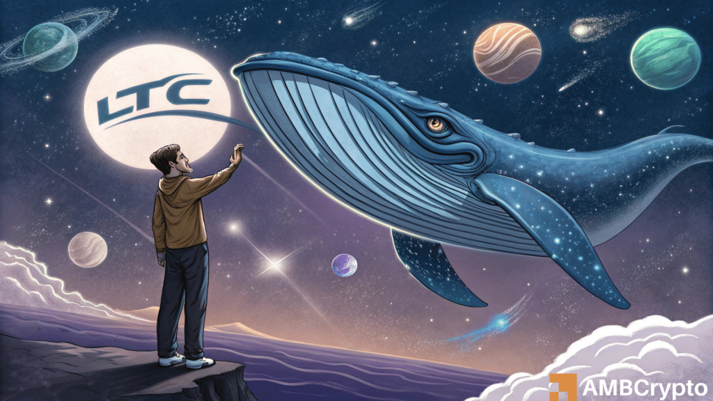 Litecoin: How whale activity played a major role in LTC’s rise