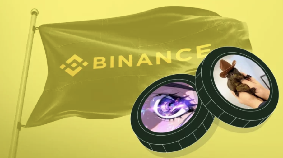 Binance`s Potential Listing of Panshibi May Propel This Meme Coin 20x in February, Impacting Dogecoin Crypto