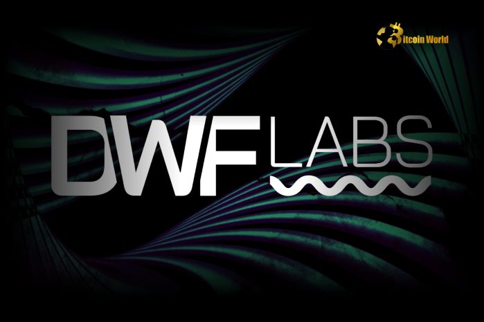 DWF Labs Co-Founder Says AI Market Dip Is a Rebalancing, Not the End of the Trend