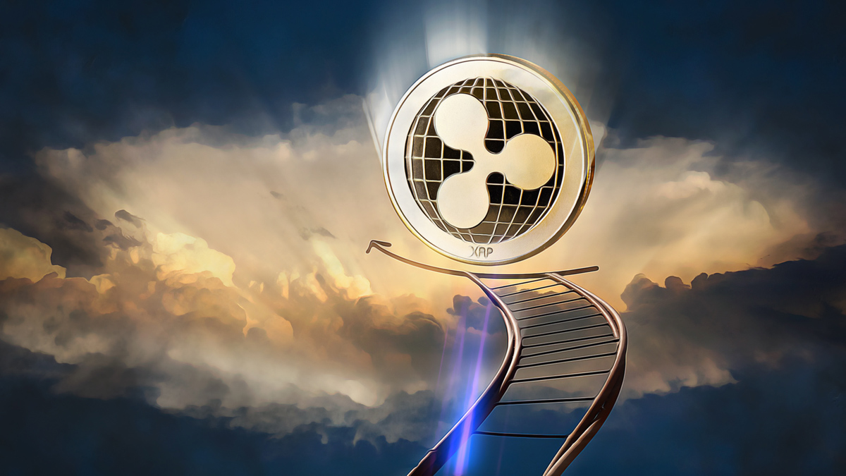 Potential XRP ETF Approval Sparks Surge in Market Optimism