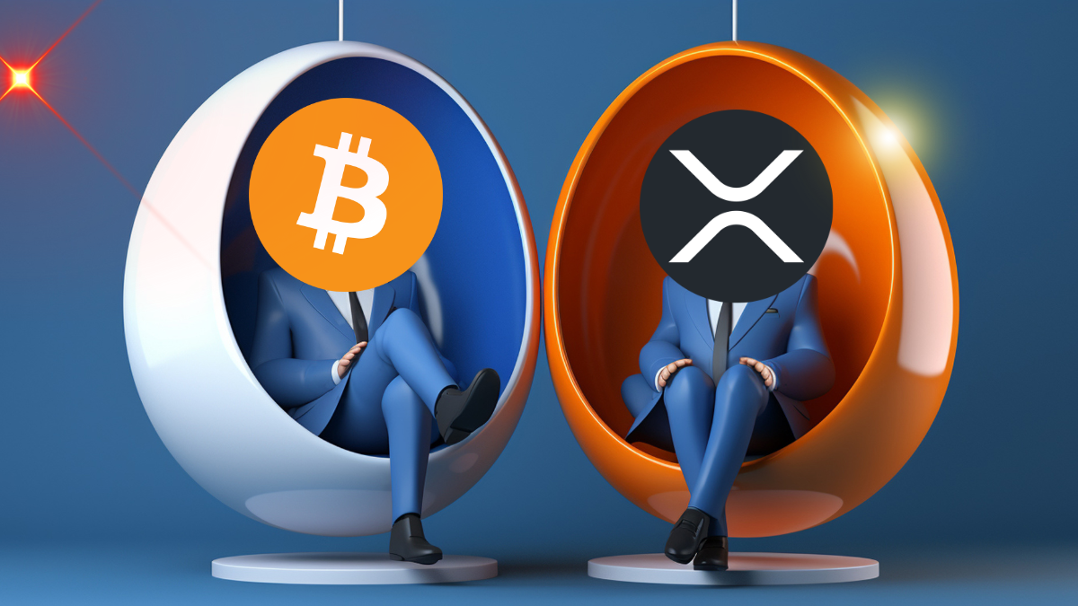 $500 to $1M? XRP & Bitcoin Holders Are Watching These Next-Gen Cryptos!