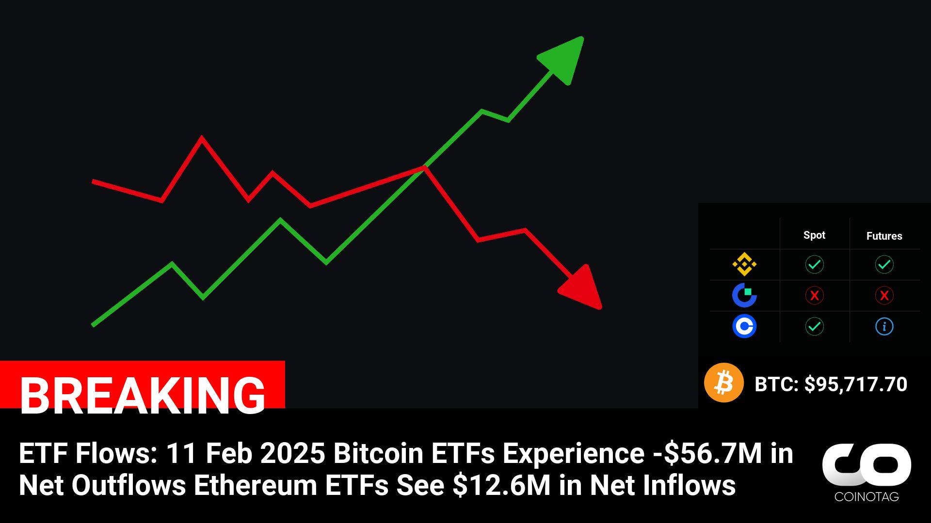 Bitcoin ETFs Record -$56.7M Net Outflows, While Ethereum ETFs Gain $12.6M Inflows in Latest ETF Flow Report, 11 Feb 2025