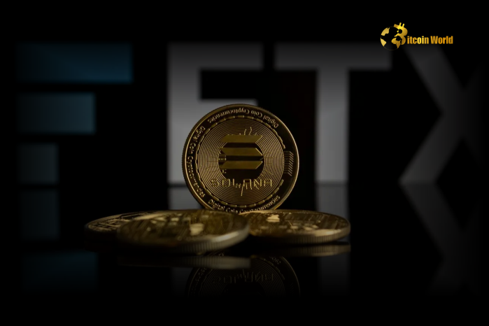 Hopeful Comeback: 79% of FTX Creditors Plan Bold Crypto Reinvestment, Eyeing Solana & Memecoins