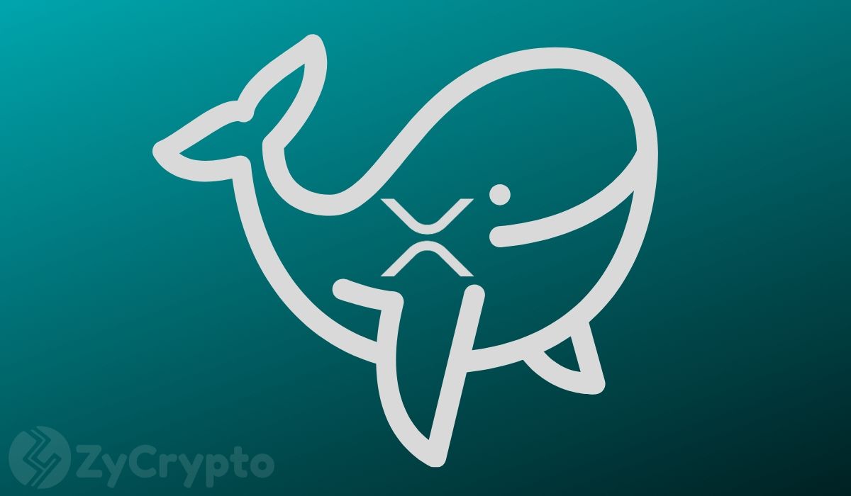 Crypto Whales Rally Behind Ripple’s XRP, Scoop $20 Million Coins In 24 Hours