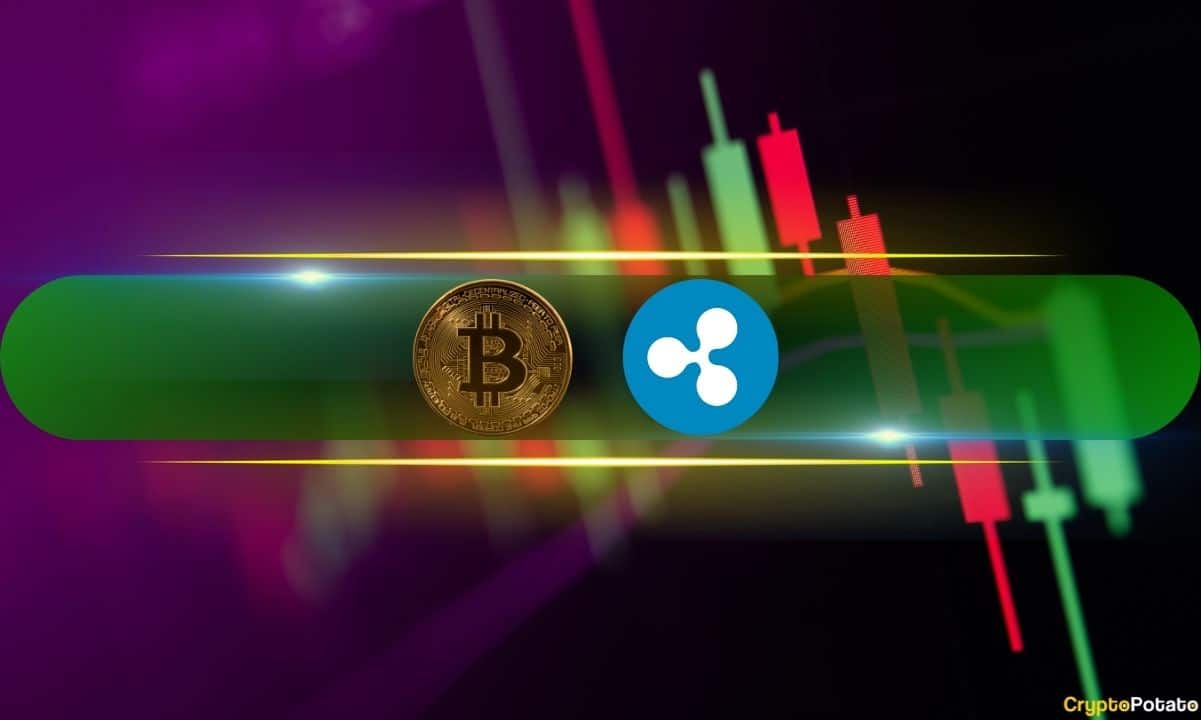 BTC Price Calms at $89K After Tuesday Massacre, XRP Recovers 8% Daily (Market Watch)