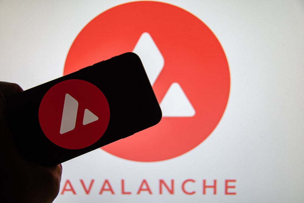 Avalanche Foundation and Rain unveil a new crypto card