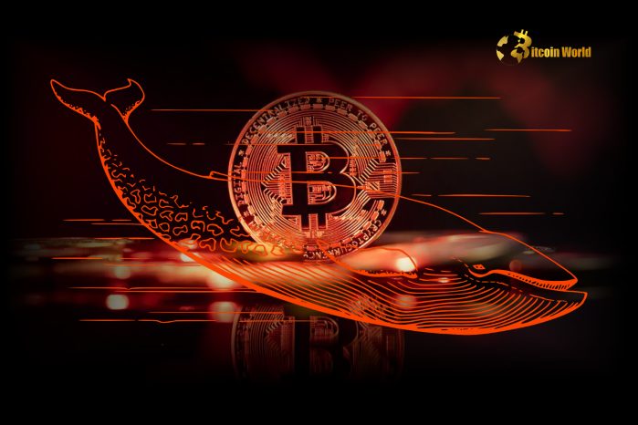 Urgent Alert: Bitcoin Whales’ Shocking 6,813 BTC Dump Sends Market Reeling