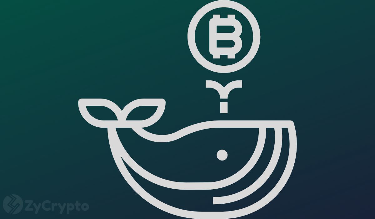 Bitcoin Whales Dump Over 40,000 BTC, Altcoins Records Mixed Patterns