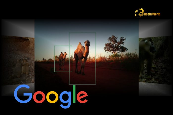 Revolutionary SpeciesNet: Google Unveils AI Model to Transform Wildlife Identification