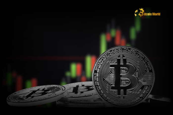 Gloomy Bitcoin Outlook: CryptoQuant CEO Predicts Muted Activity Until US Market Confidence Rebound