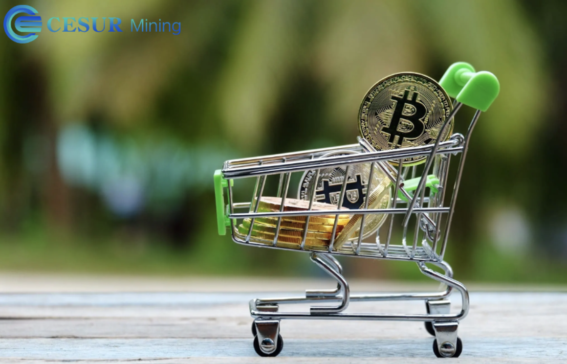 Disclaimer: This article is a press release. COINTURK NEWS is not responsible for any damage or loss related to any product or service mentioned in this article. Continue Reading: Maximize Your Crypto Earnings with CESUR Mining’s New Cloud Contracts The post Maximize Your Crypto Earnings with CESUR Mining’s New Cloud Contracts appeared first on COINTURK NEWS .